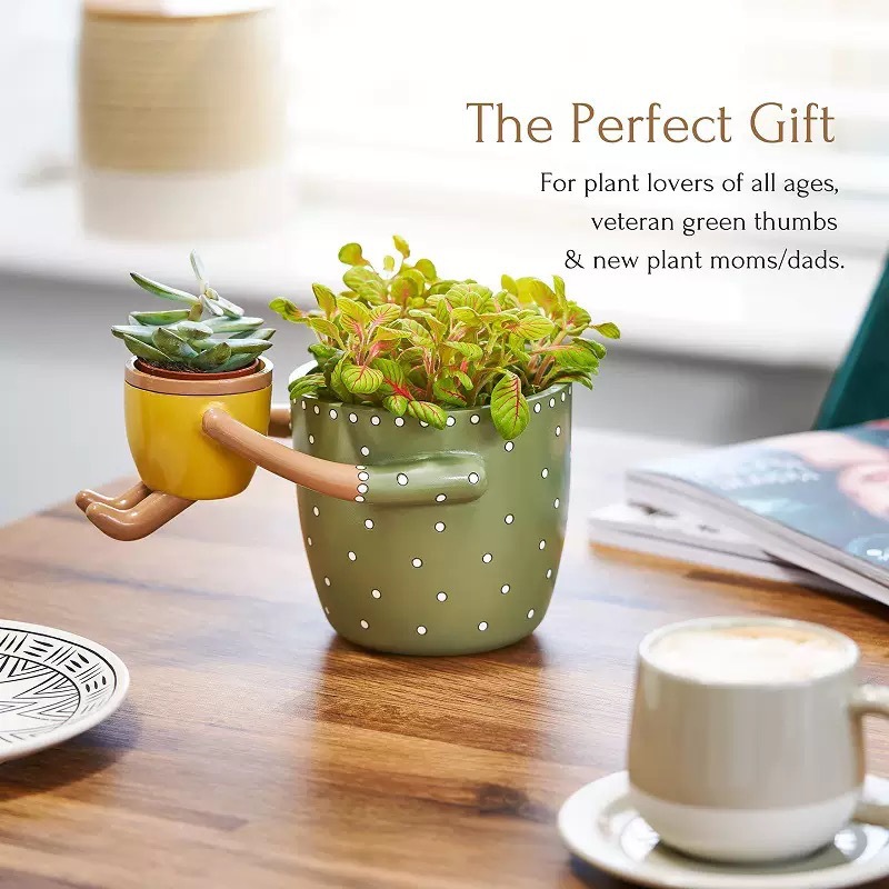 Pot Bunga Resin untuk Orang Tu - Plant Parent Pot ulasan dan harga